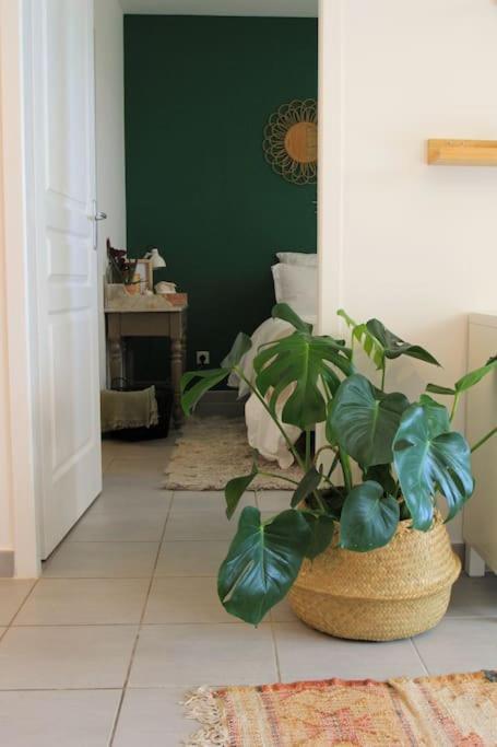 Cosy Appartement Entre Vignes Et Garrigue Avec Piscine Péret 外观 照片